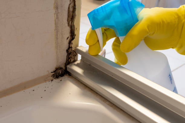 Best Crawl Space Mold Removal  in Gonzales, CA