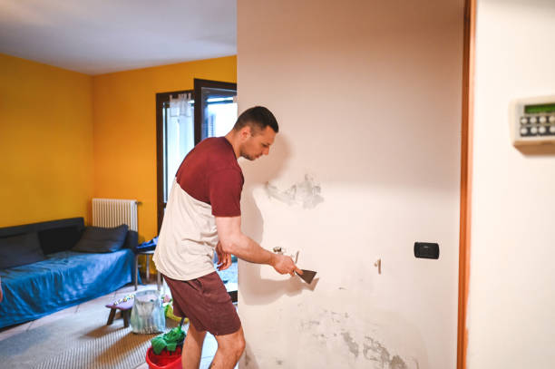 Mold Removal and Inspection in Gonzales, CA