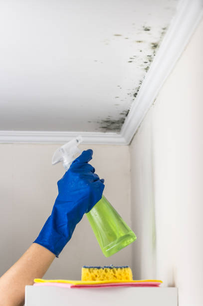 Best Residential Mold Removal  in Gonzales, CA